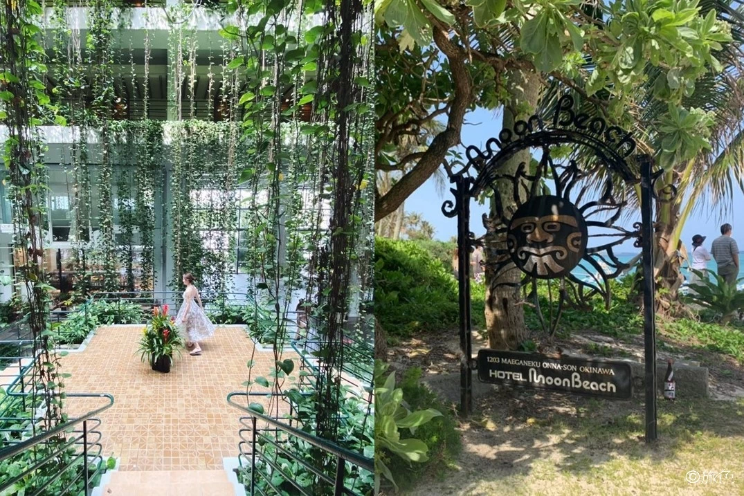 目の前に広がる青いビーチと植物に包まれた館内に癒されるホテル「ザ・ムーンビーチ ミュージアムリゾート」＠沖縄