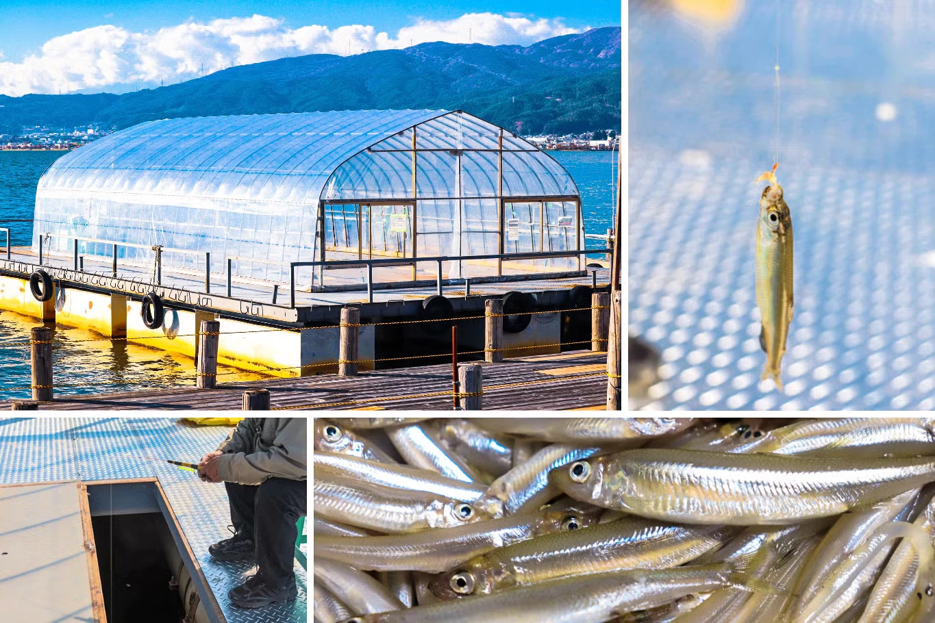 長野・諏訪湖】わかさぎ釣りを手ぶらで満喫！秋冬の秘密兵器「ドーム船