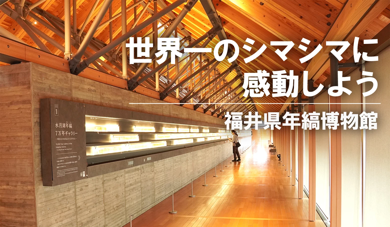 7万年分の歴史が目の前に！ 福井県年縞博物館で世界一のシマシマに感動しよう