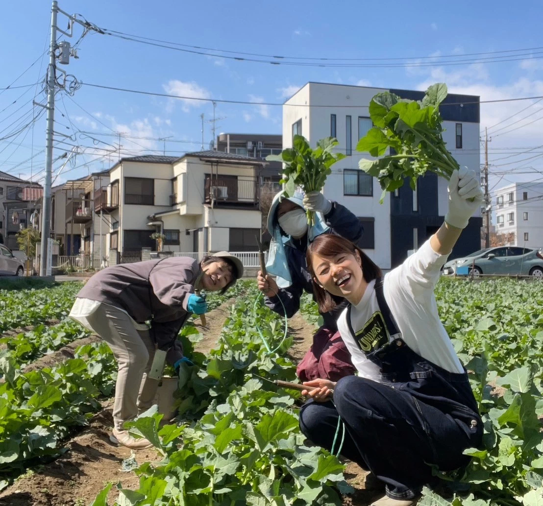 【川瀬良子の農業旅】驚きの栽培法と地域に根ざした活動を続ける川崎市の「のらぼう菜」農家へ