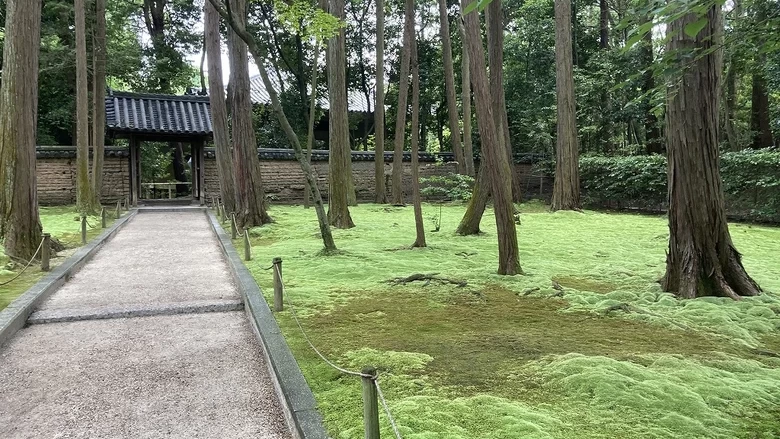 【奈良】梅雨時にもぴったり。「鑑真様」ゆかり唐招提寺や苔の名所・秋篠寺を巡る旅