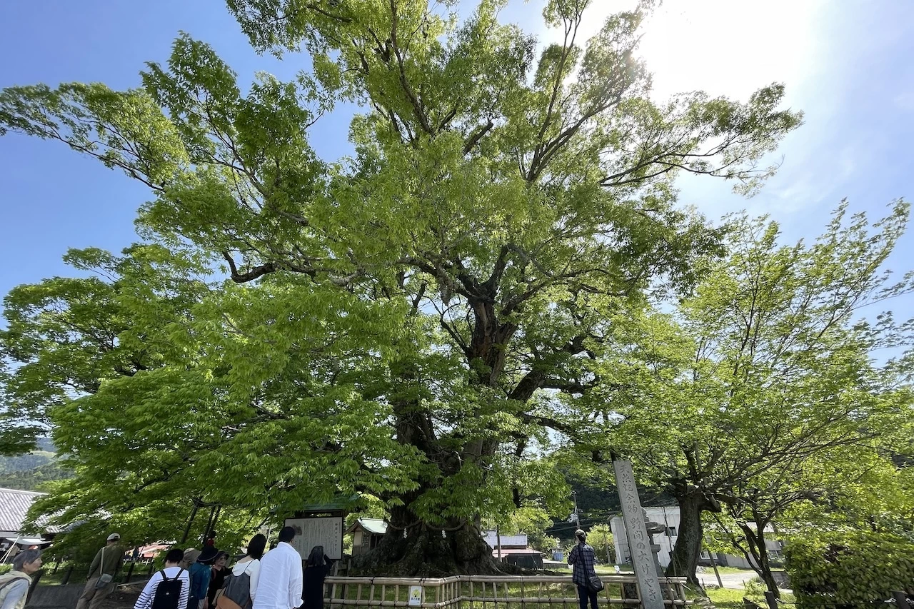 大阪の穴場を発見！ 市内から1時間で行ける「能勢町」でゆったりドライブ旅へ