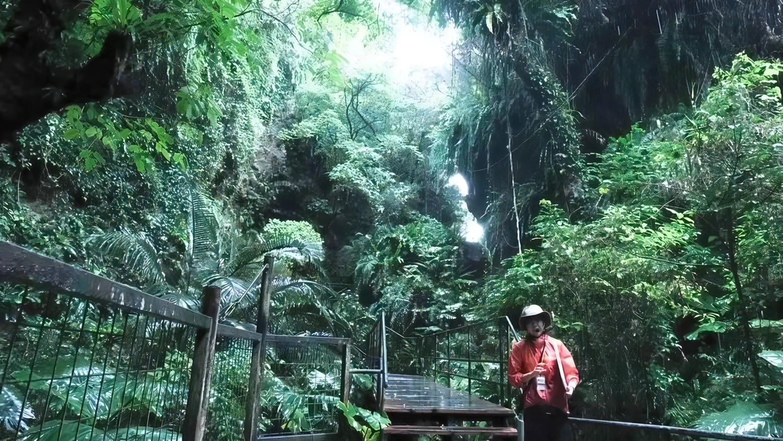 【沖縄】梅雨の「ガンガラーの谷」で自然美や自分のルーツについて考える“ちゃん旅”
