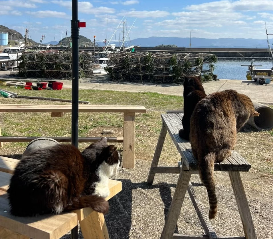 ワーケーション旅 &ヨシカ