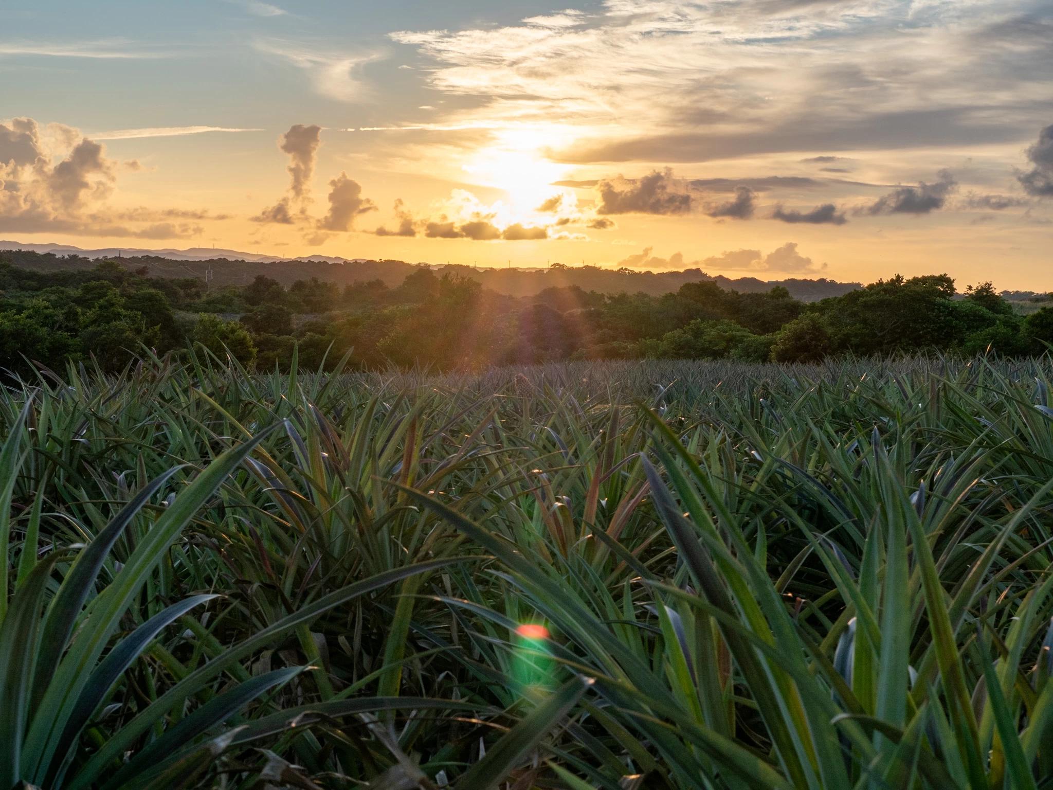 フォトエッセイ リリ