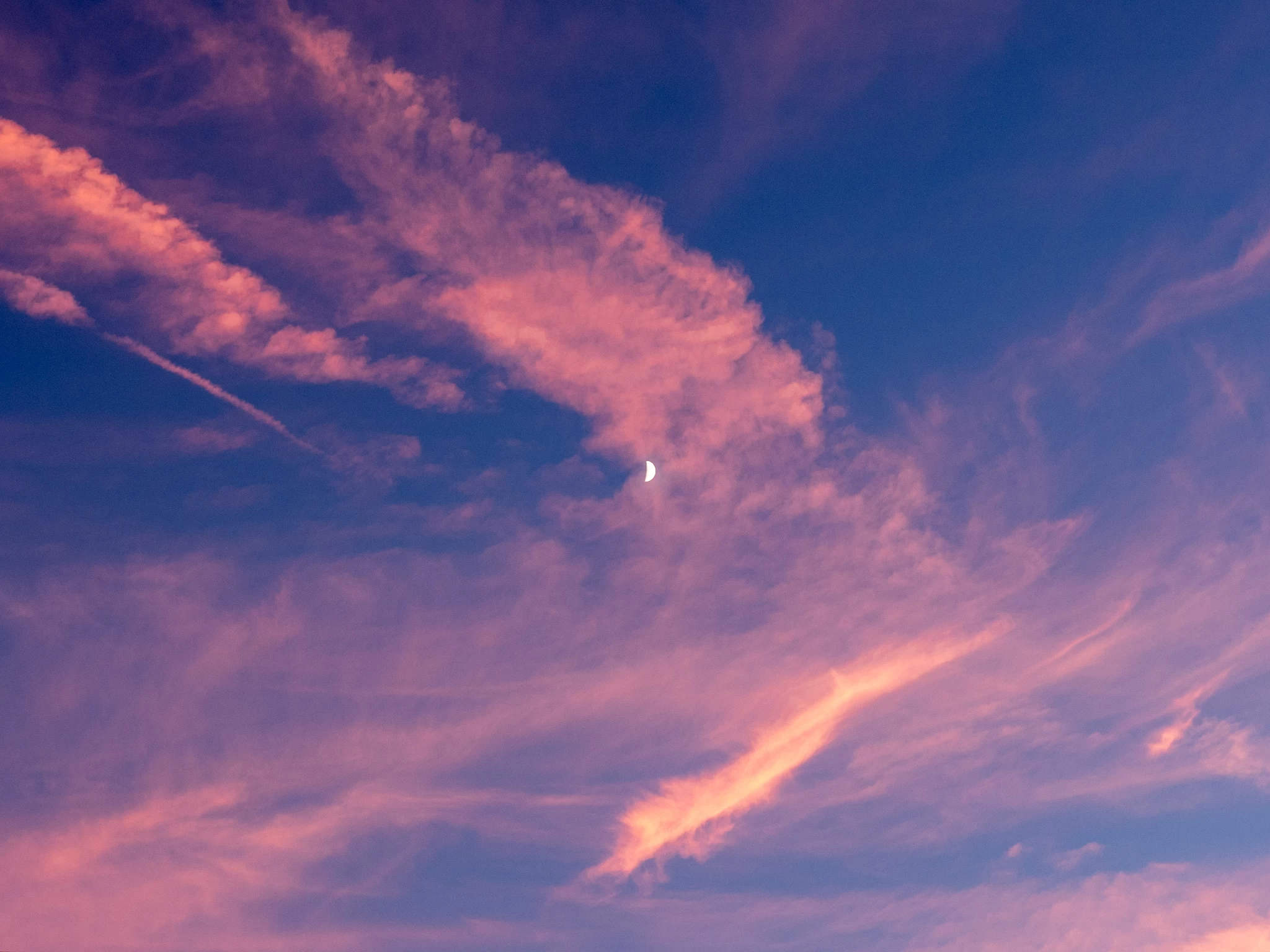 旅と日々のあいだで