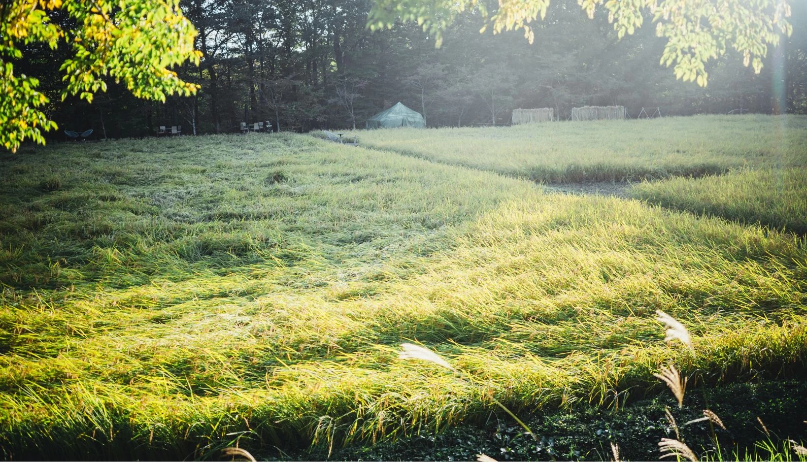 「リゾナーレ那須」の中心にはいつも田んぼがあった～施設広報1年目・小川の備忘録～