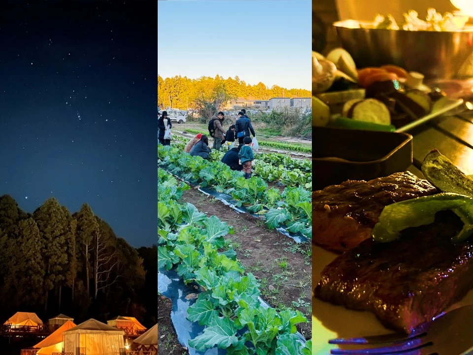 【千葉】冬こそ行きたい農園リゾート「THE FARM」で野菜の収穫、温泉、星空のご褒美ステイ