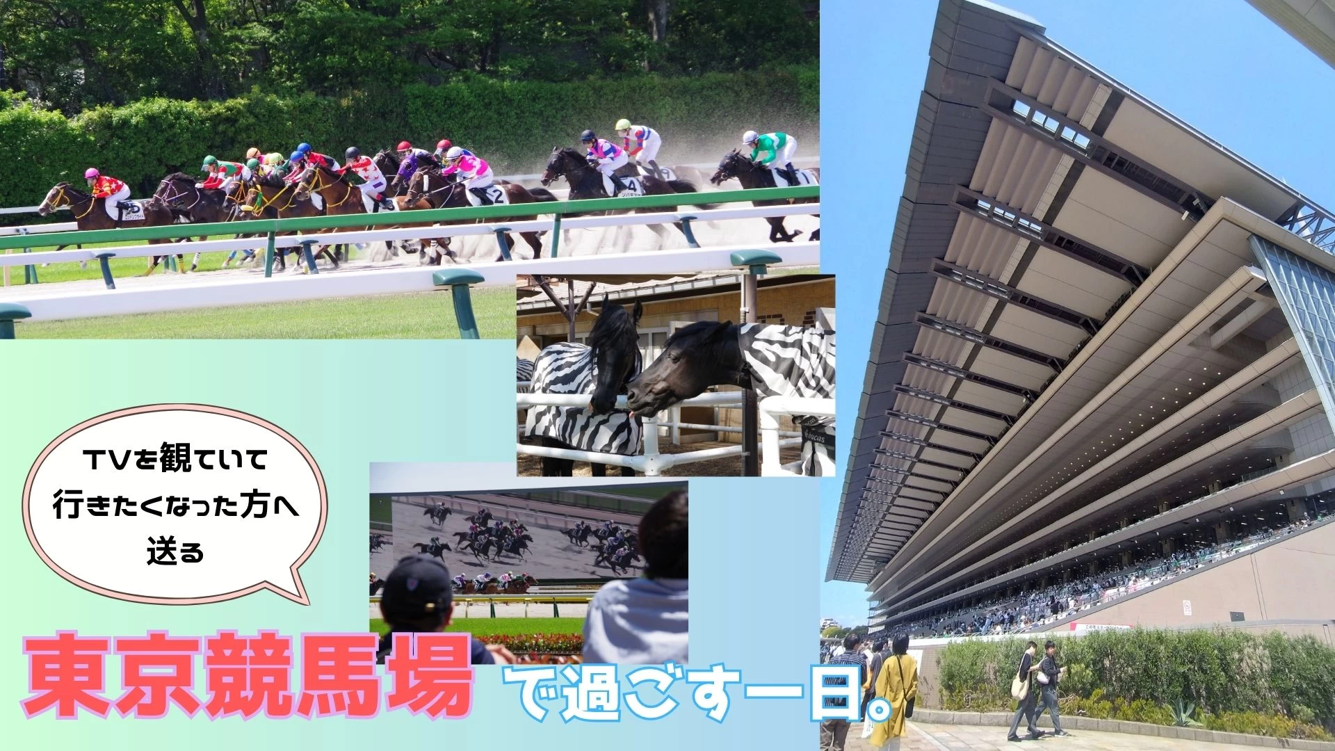 昔よく行った、“府中の競馬場”を紹介してみようと思う。