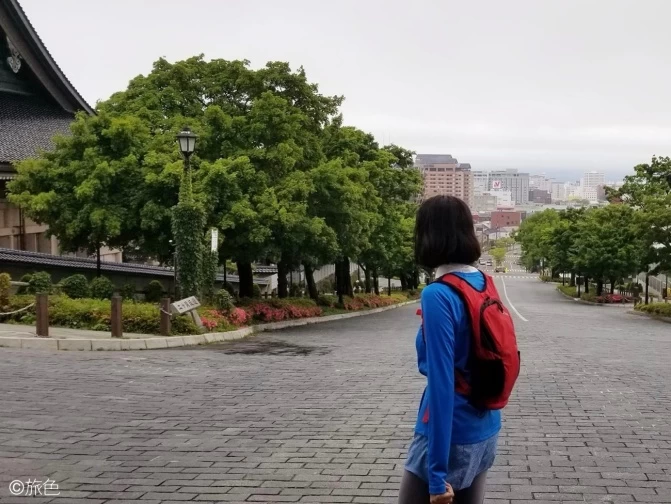 旅ラン 函館 人気 服の色