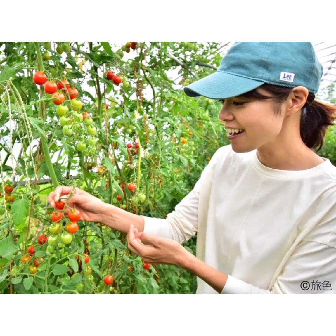 つながり自然農園のトマト