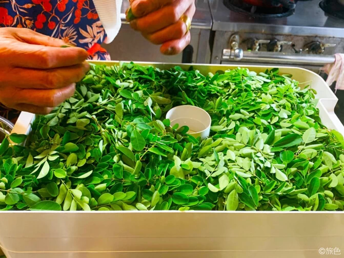 宮古島で モリンガ を食べて学ぶ癒し旅 穴場の夕焼けスポットも 旅色likes 宮古島で モリンガ を食べて学ぶ癒し旅 穴場の夕焼けスポットも 旅色likes