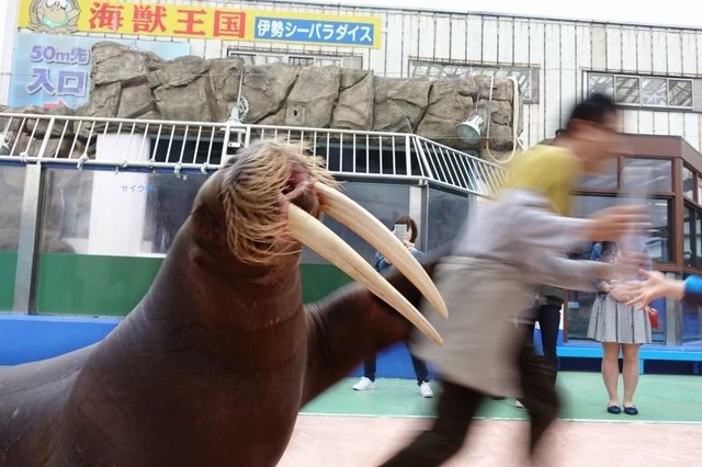 ③泣く子続出の柵無し海獣ショー「伊勢シーパラダイス」（三重県）