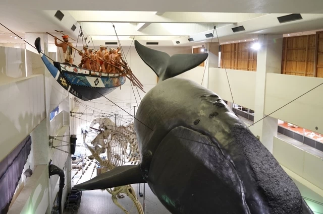 ④捕鯨の町が発信する日本の伝統漁「太地くじらの博物館」（和歌山県）