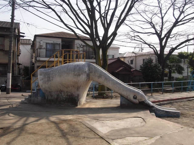 歴史ある公園に降り立った白鳥がひと休み（北区）