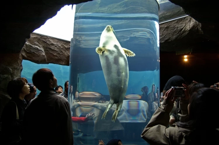 ①水族館を超える！ 斬新な水族館化で超人気に「旭山動物園」（北海道）