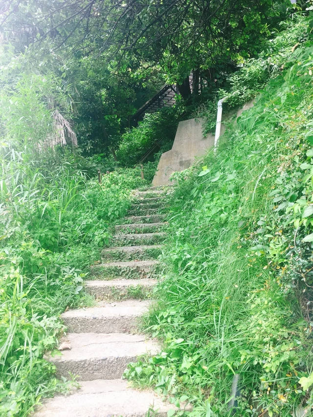 急な坂を上った先にある薪窯パン屋さん「山の上ベーカリー」（横須賀）