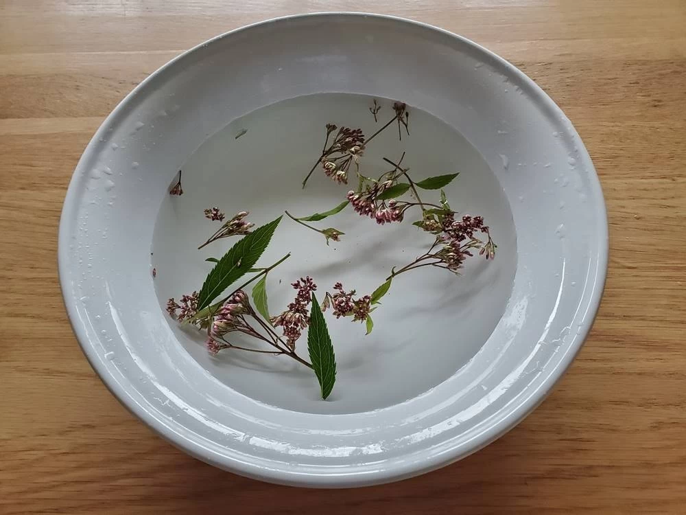 フジバカマのハーバルバスの作り方