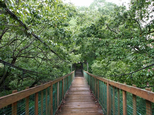 内緒にしたい吊り橋の先の秘湯「信夫温泉のんびり館」（福島）