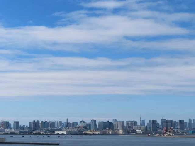 【4】若洲昇降タワー・東京ゲートブリッジから見る東京都心・臨海地域／江東区