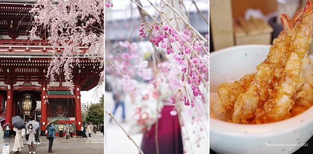 浅草寺の来訪者の様子、春らしい色と袴姿の卒業生、みんなで食べたランチ。3枚に絞り込んでみると当日の様子が伝わりますね