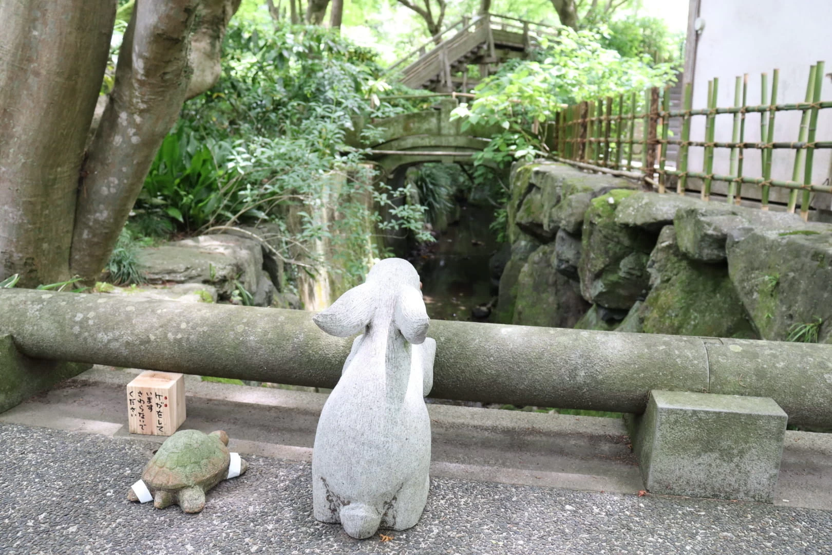 鎌倉】紫陽花の見頃と美しいお寺5選！旅色コンシェルジュ・吉川が選出