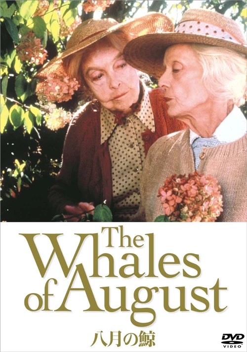 『八月の鯨』DVD