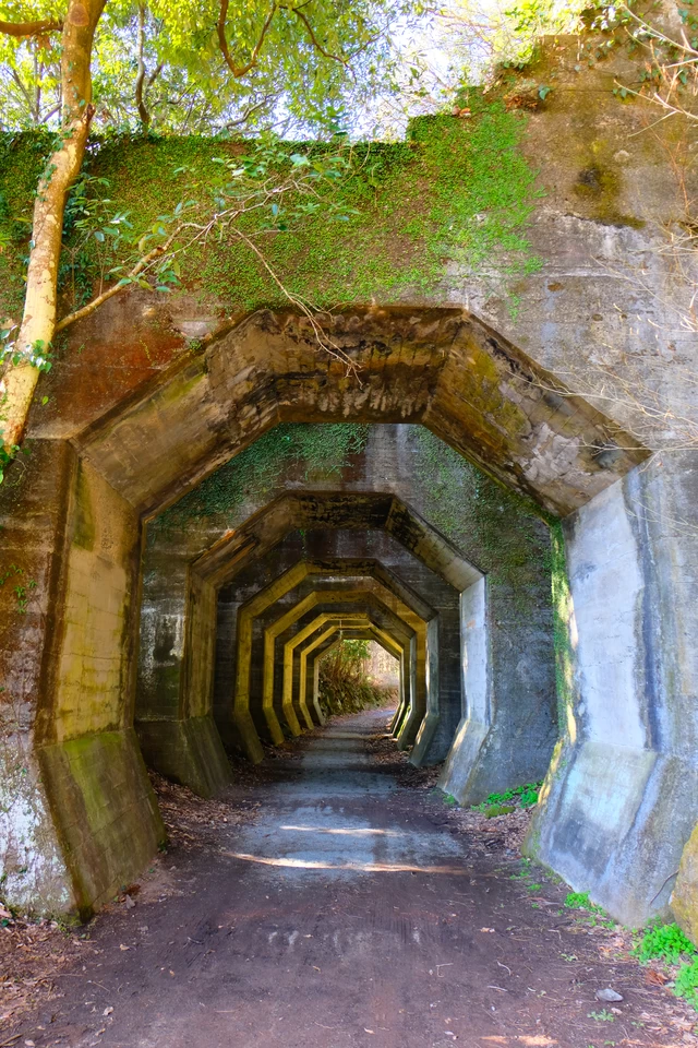 自然と一体化する姿は、長いことこの場所にトンネルが存在している証