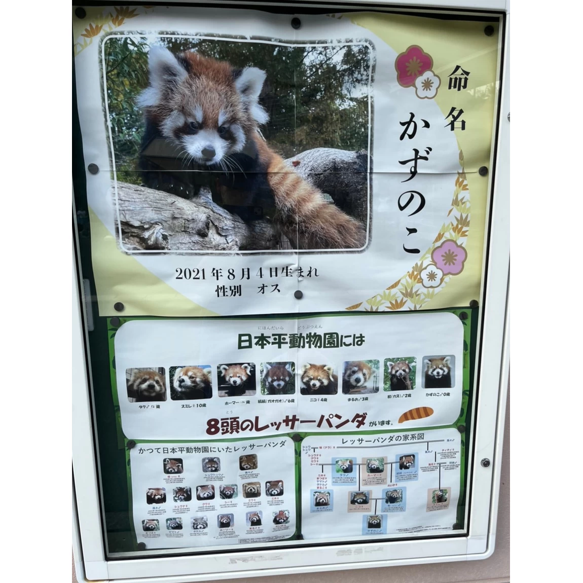 日本平動物園