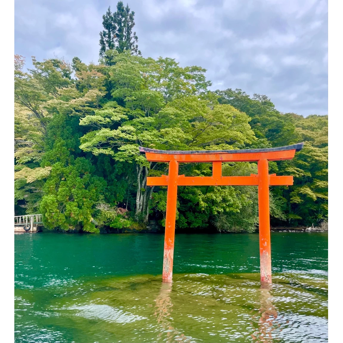 箱根神社水上鳥居
