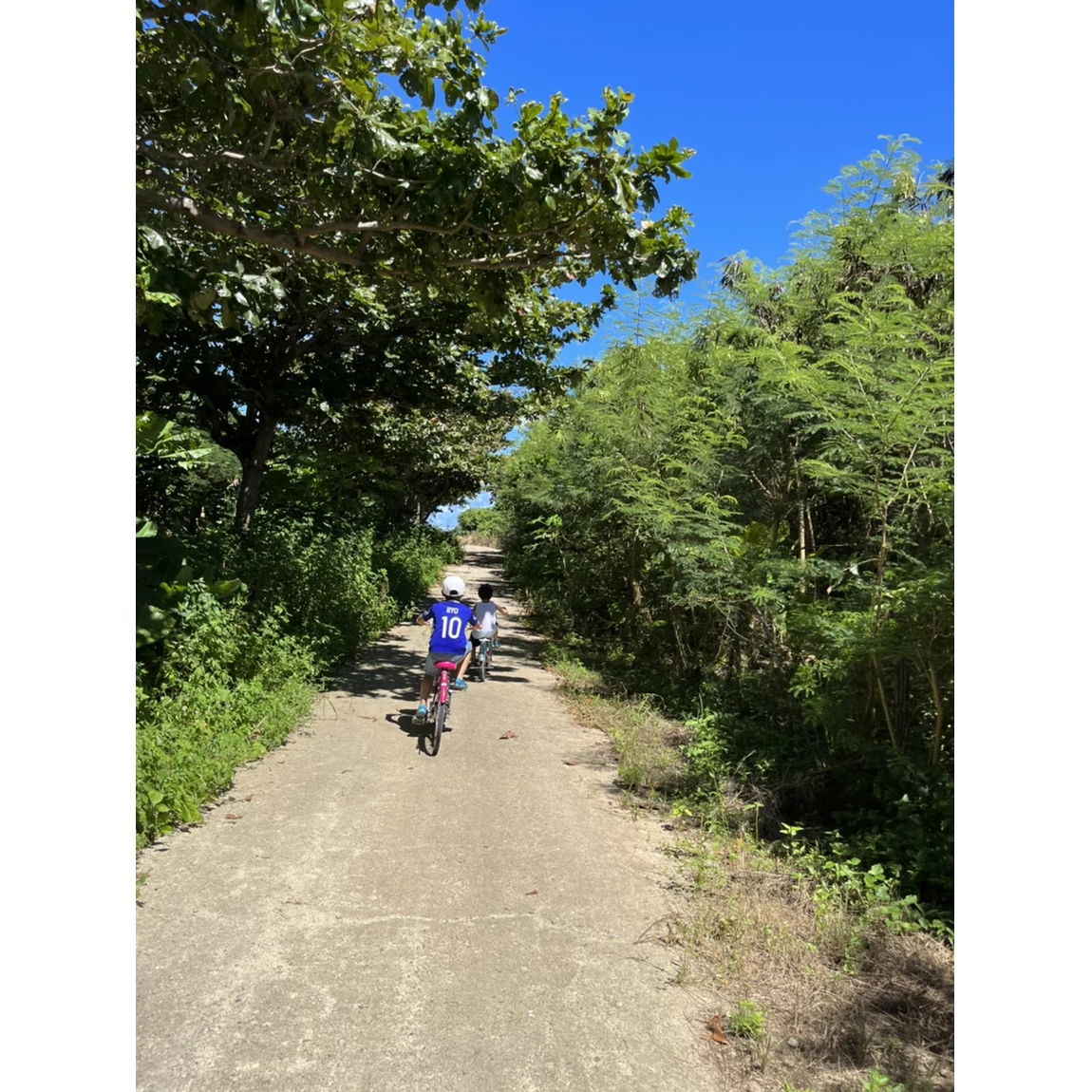 竹富島サイクリング