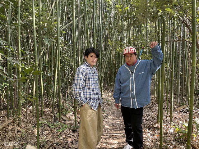 【ご自身で武雄市を旅して気に入ったスポット（例）】塚崎の大楠の竹藪※これは一例です。このスポットである必要はありません
