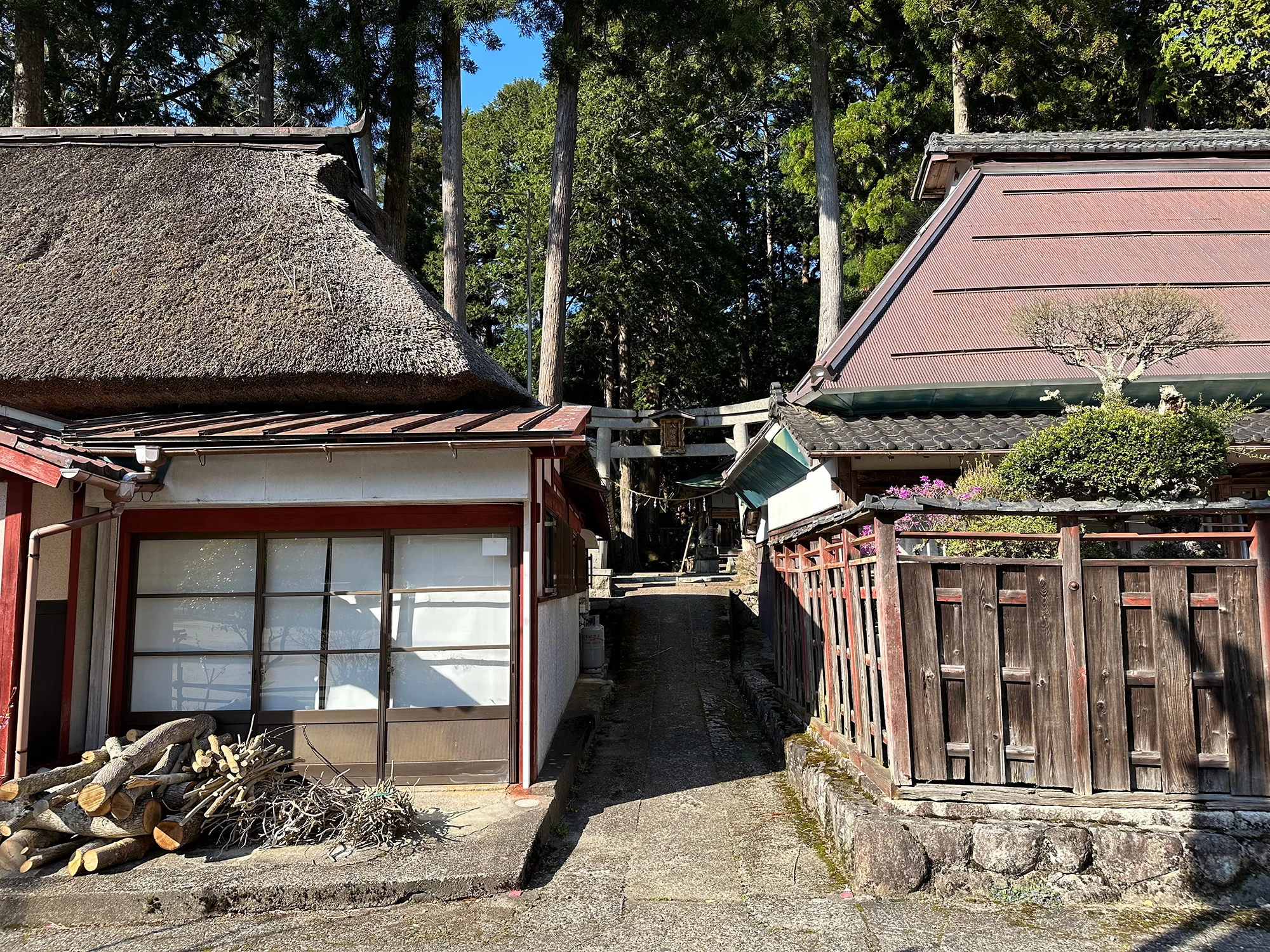 永源寺町史 木地師編 上下巻 - 本