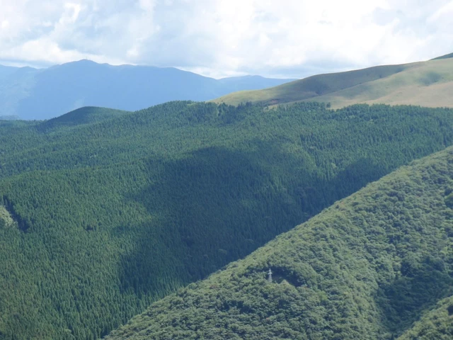 画像提供： 高知県林業振興・環境部　自然共生課