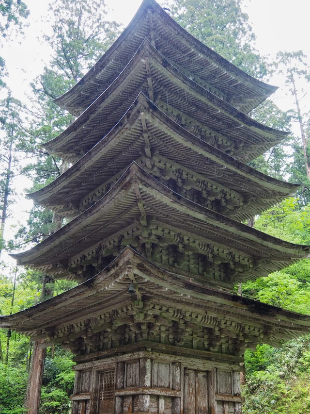 五重塔（国宝）は三間五層の素木造りと日本古来の苔葺屋根。翌日から改修工事に入るタイミングだった