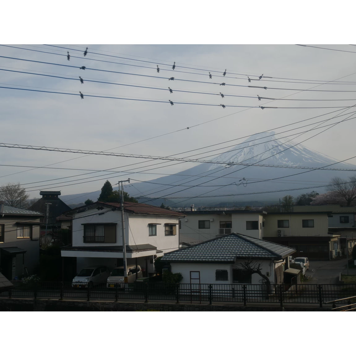 富士山ビュー特急