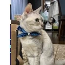 みかん