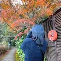 わく