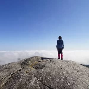 かわいまゆみ