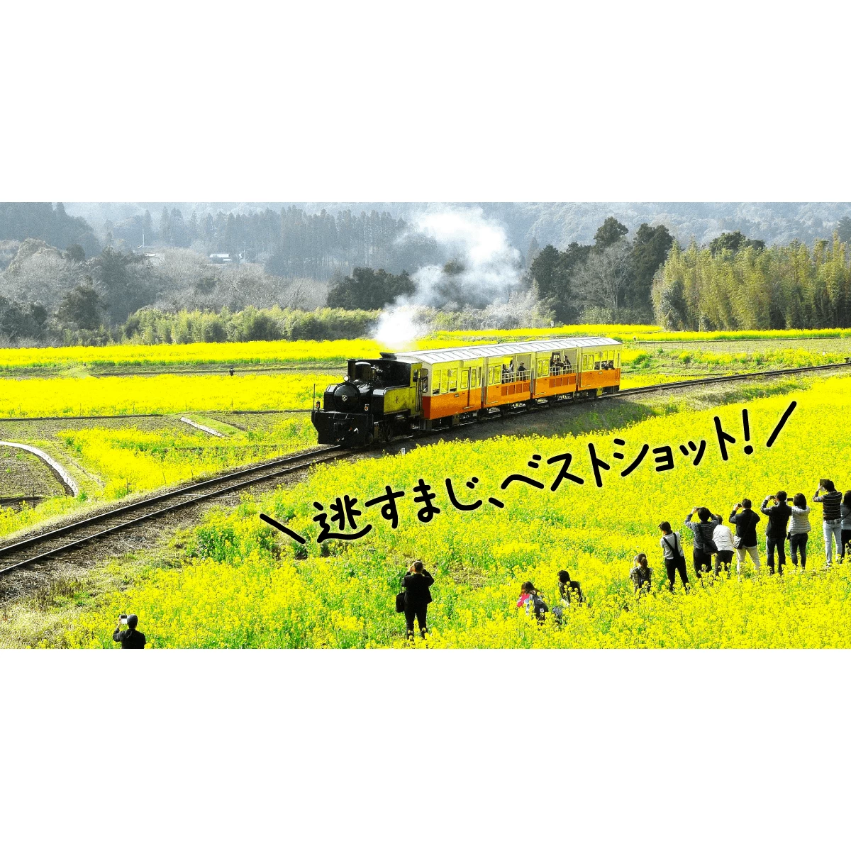 いすみ鉄道で行く菜の花を愛でる日帰り旅 みんなの旅プラン 旅色 旅行プランは旅色で