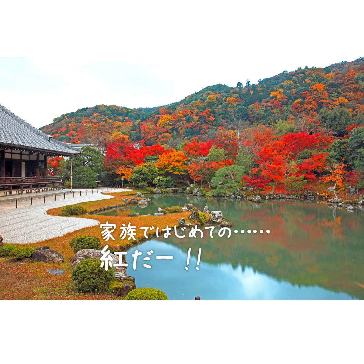 京都 1泊2日旅行プラン 子連れで紅葉狩りへ 旅行プランは旅色で