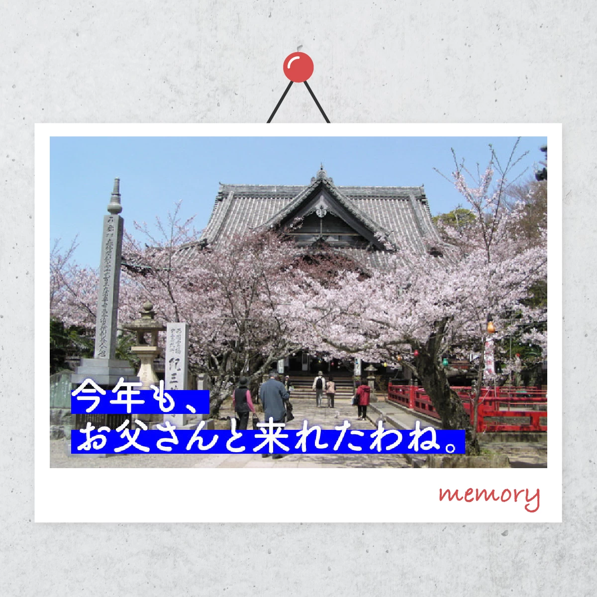 紀三井寺で関西一の早咲き桜を見よう！和歌山の名所も巡る温泉旅