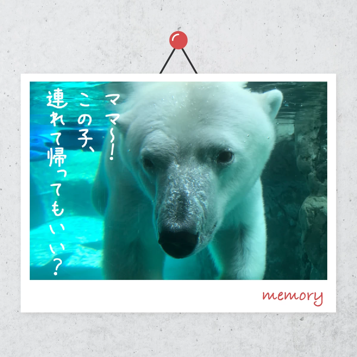 夏休みは旭山動物園へ  北海道で子連れ家族旅行  