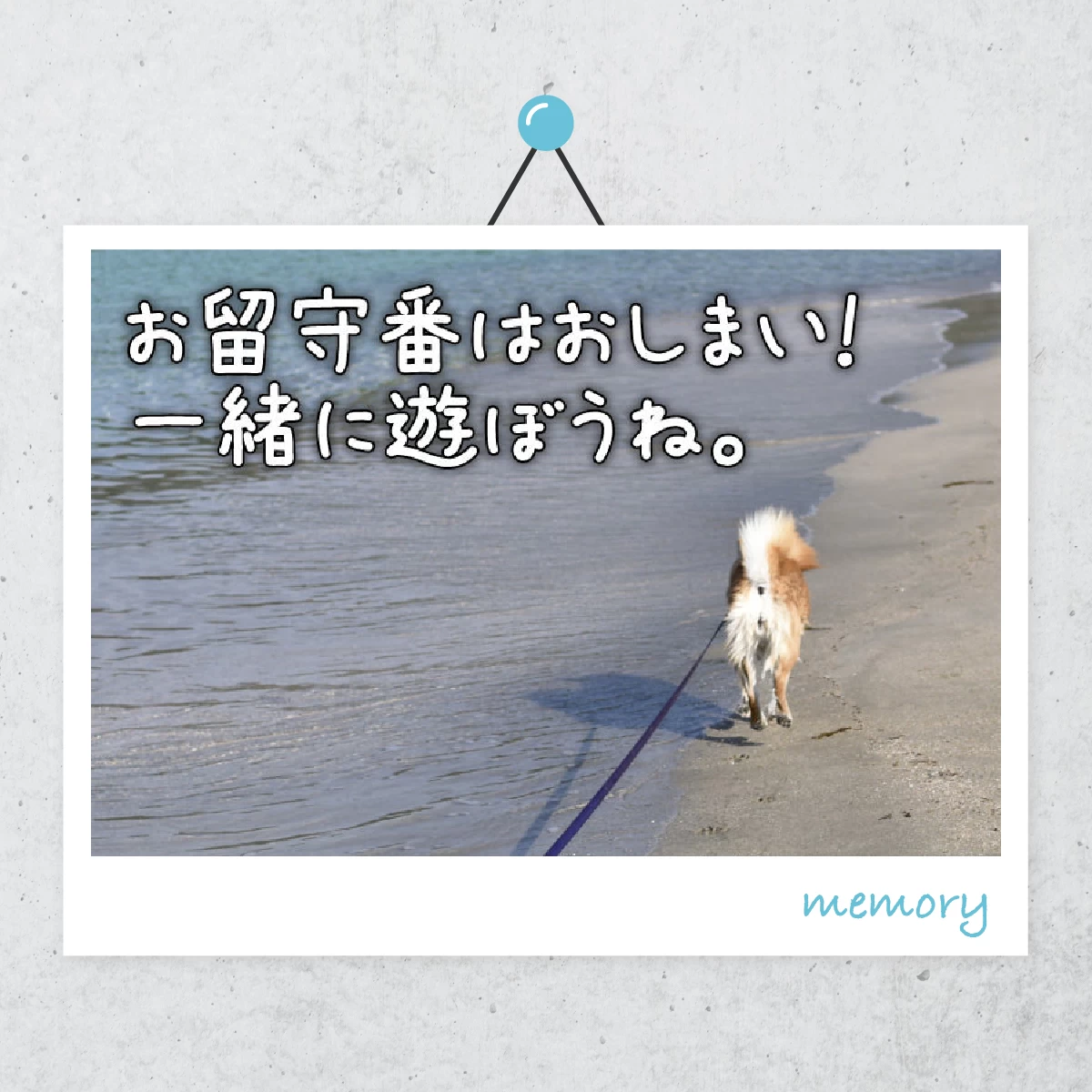 ペットと一緒に歩こう！　福岡・糸島の絶景散策旅