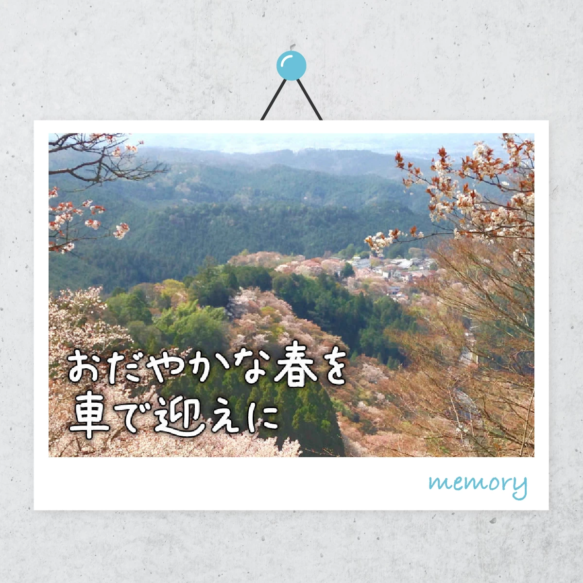 吉野山の桜にうっとり  日本文化を感じる夫婦旅
