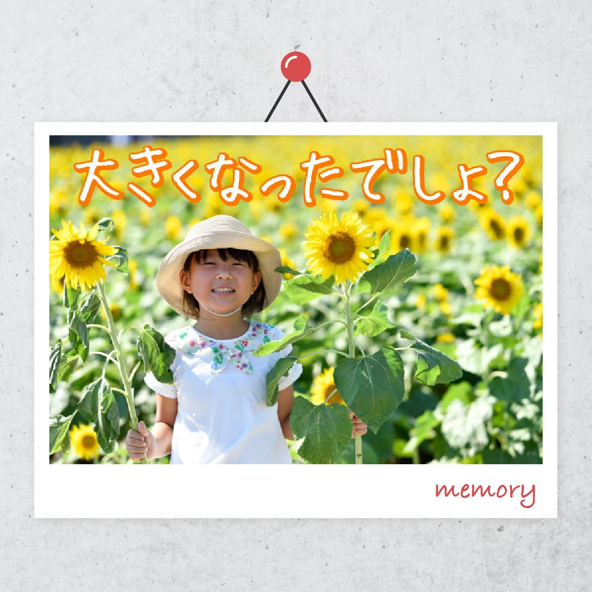夏休み子連れ旅行は岡山へ！ひまわり畑や流しそうめんを楽しむ旅