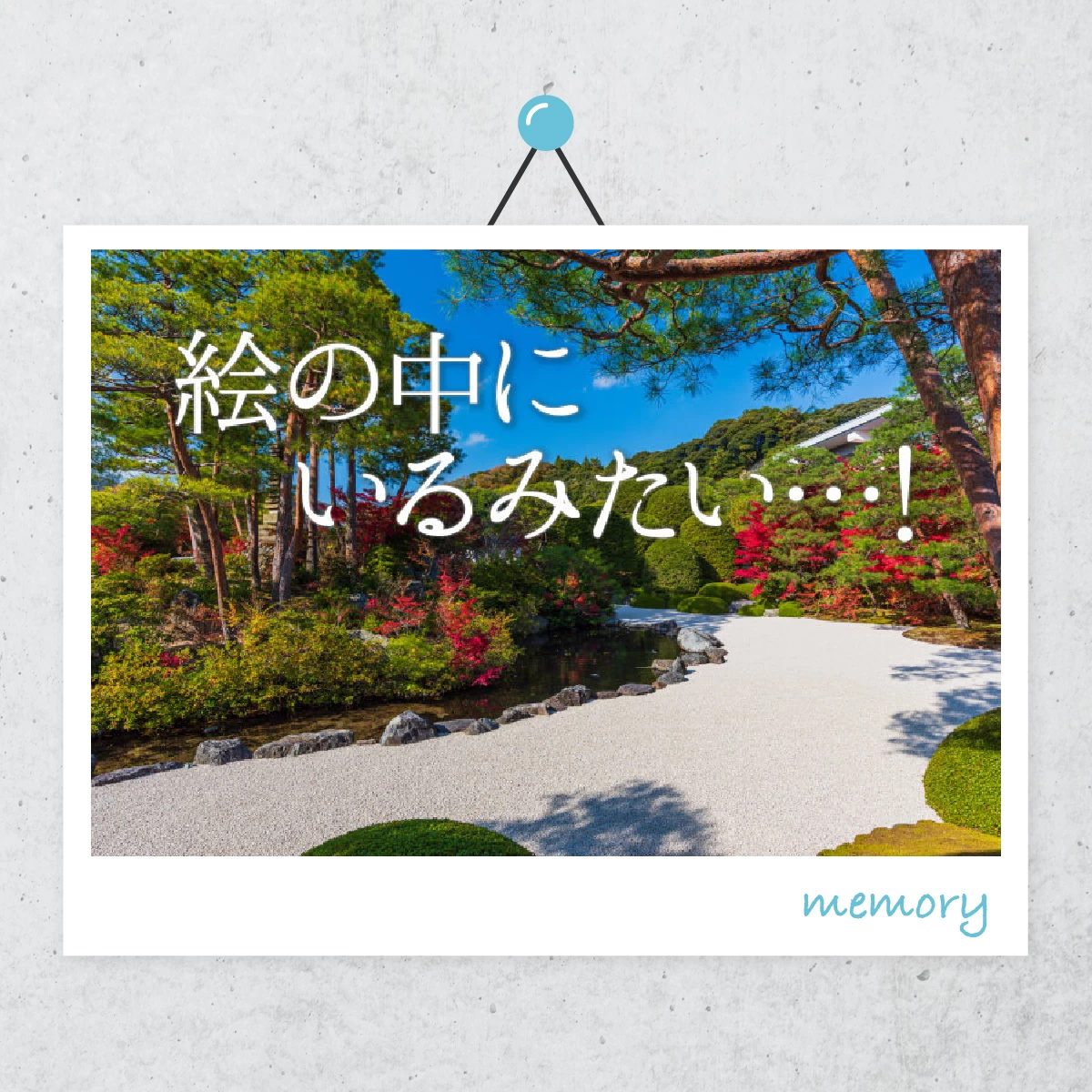 島根の足立美術館へ  庭園美を味わう家族旅