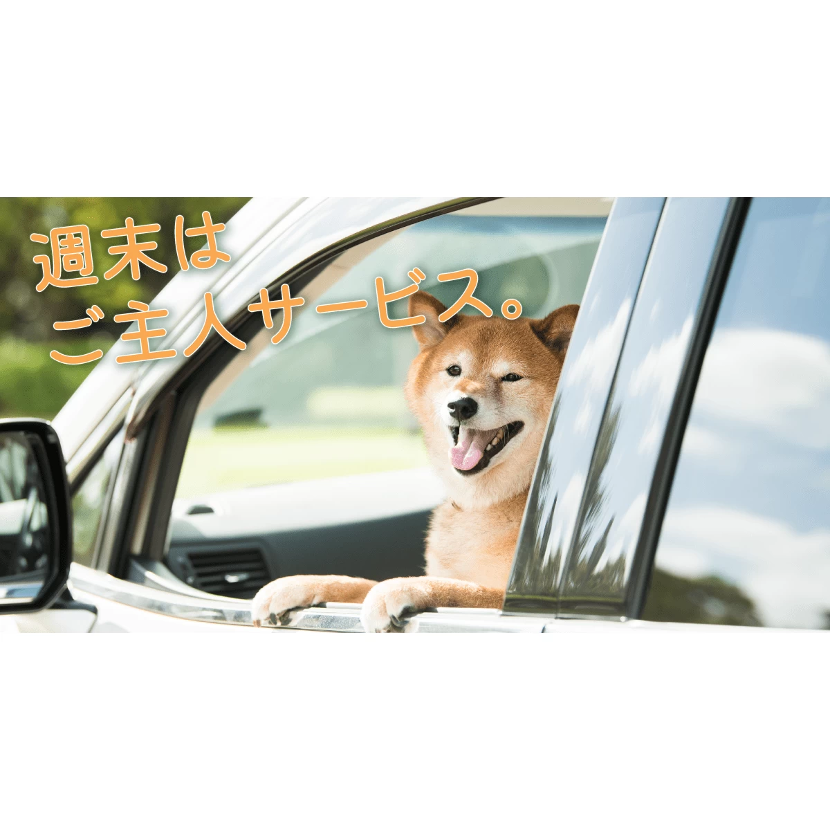 愛犬を連れて静岡観光 絶景を巡る日帰り旅行 みんなの旅プラン 旅色 旅行プランは旅色で