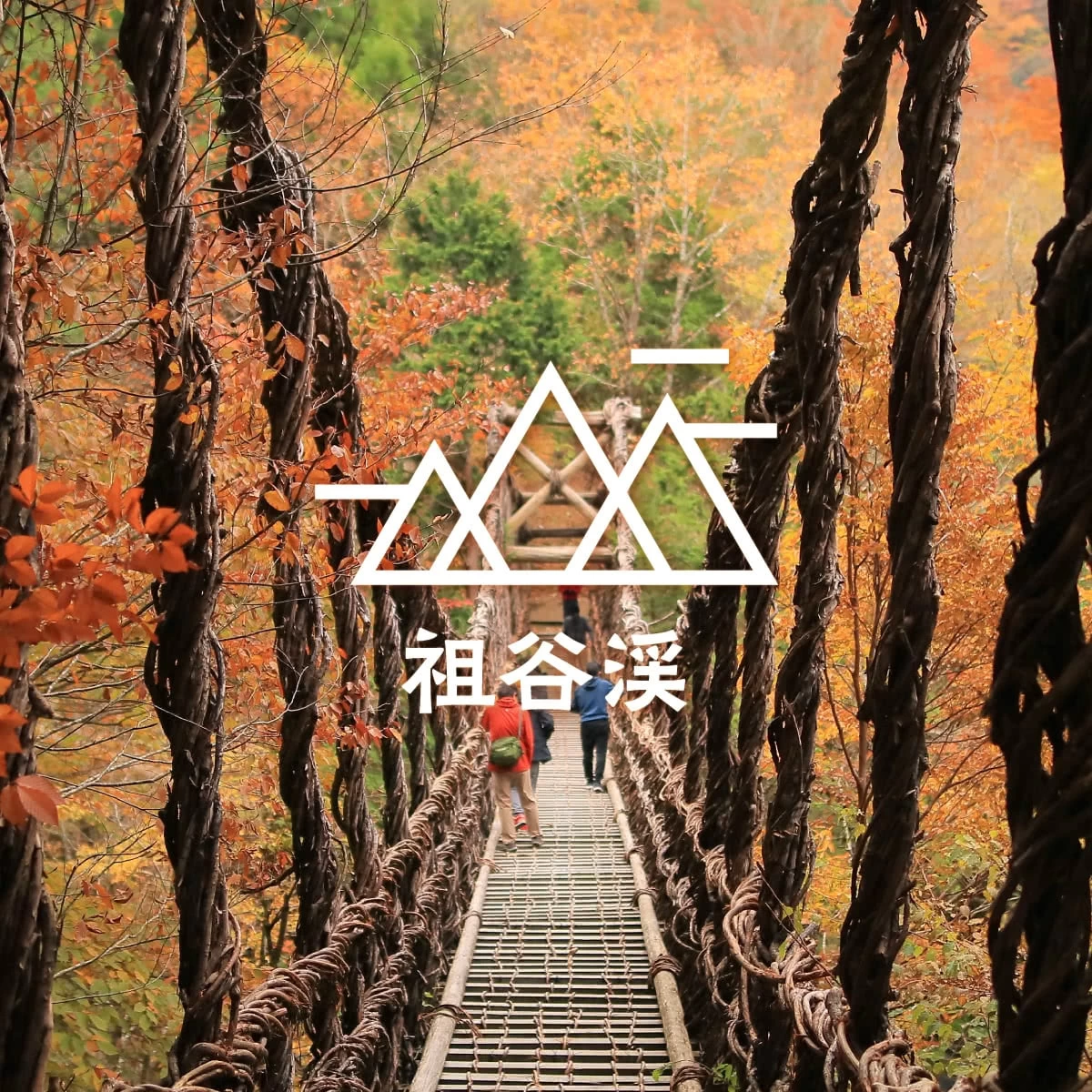 カップルで紅葉&絶景を  秘境・祖谷渓ドライブ旅