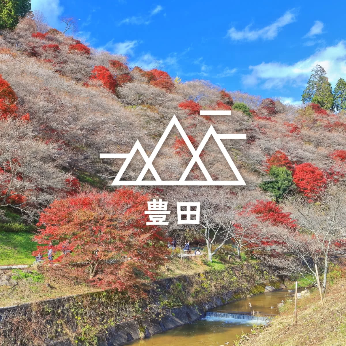 紅葉&桜を一緒に鑑賞！  豊田市へ絶景ドライブ旅